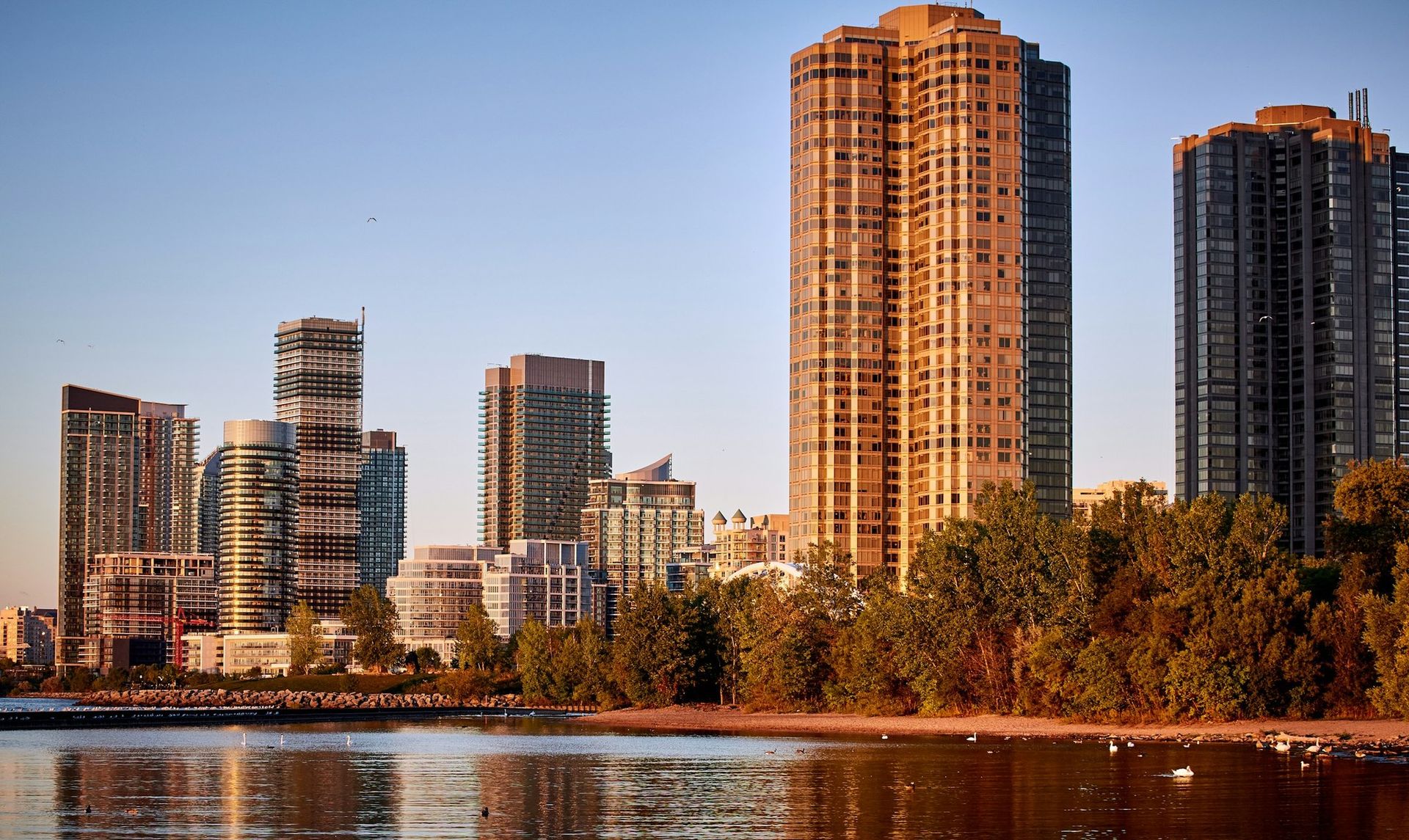 Humber Bay Shores waterfront condominiums at golden hour — Etobicoke's lakefront skyline
