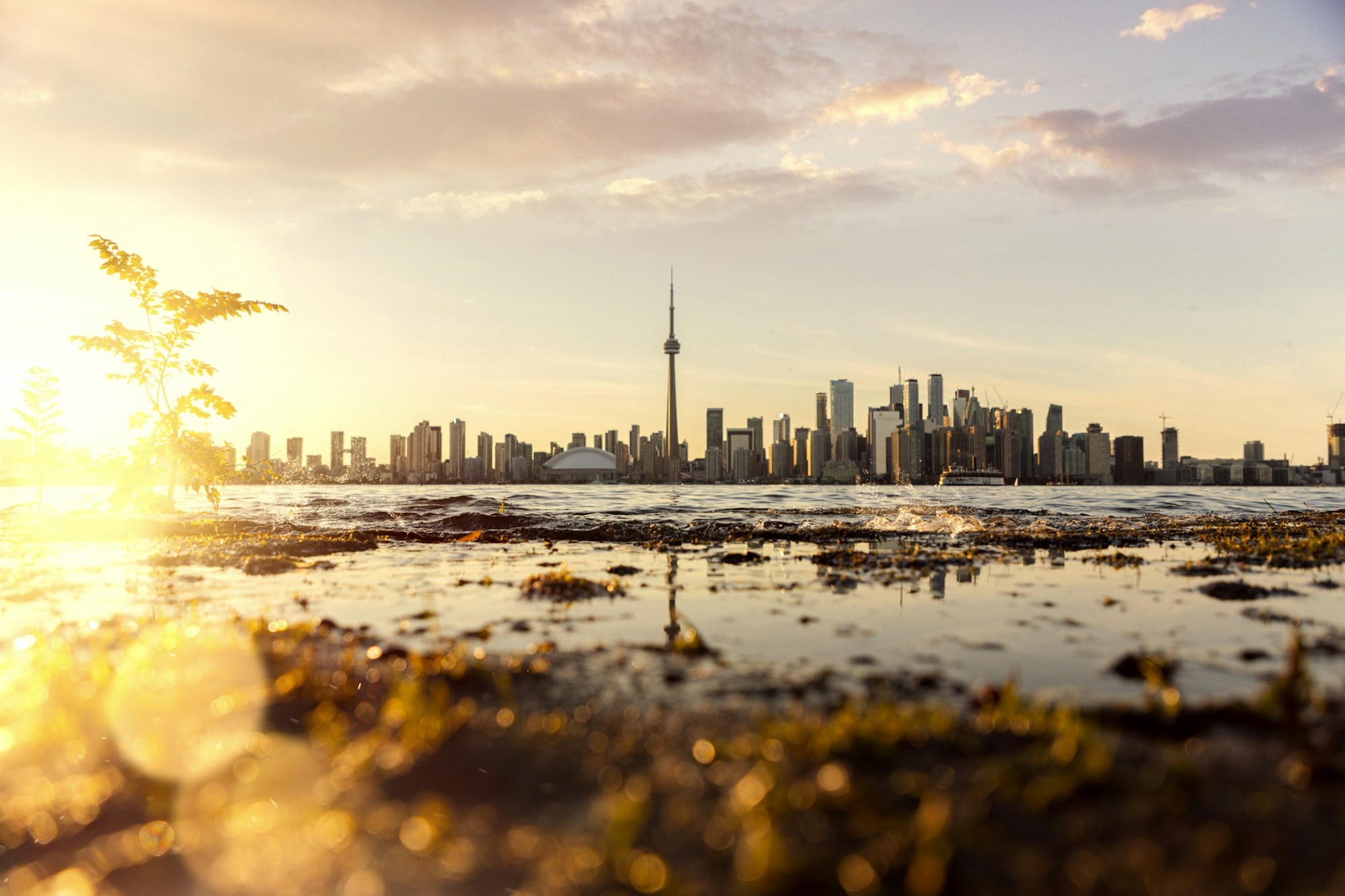 Toronto waterfront high-rise residential towers — Scarborough's lakefront skyline